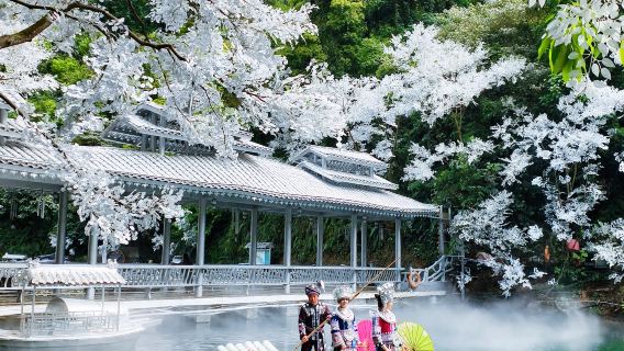 天天發團·可上門接駁·柳州雙龍溝原始森林景區+夢鳴苗寨一日遊