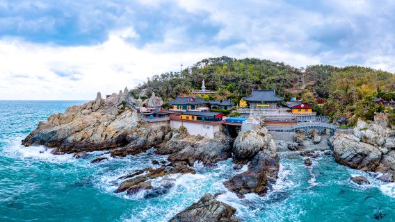Excursión de un día desde Daegu a 6 atracciones de Busan: Aldea Cultural Gamcheon + Aldea Cultural de Baekdudaegan