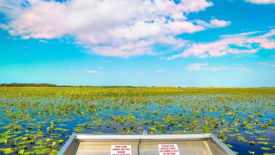 Lawatan Sewa Peribadi Sekitar Miami, Amerika Syarikat | Taman Safari Everglades | Pemandu Berbahasa Cina & Jemputan di Tempat ※