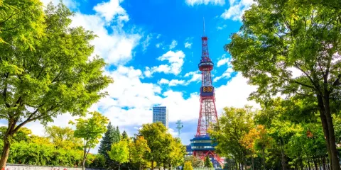日本東京大阪京都定制遊|一對一地陪嚮導 雙語隨行翻譯 專屬專屬出行 純玩無套路
