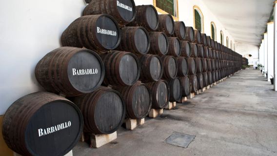 Cádiz: Bodegas Barbadillo Tour & Wine Tasting