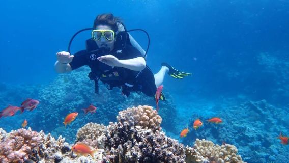 Sahl Hasheesh Elite Beach Dive & Coral Reef Experience