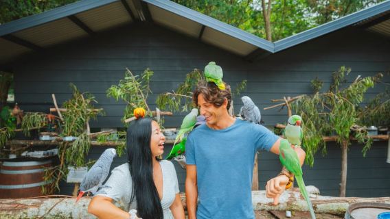 Maleny: Ingresso para os Jardins Botânicos e Bird World