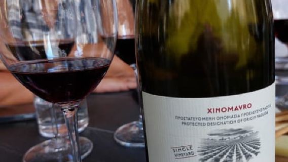 Thessaloniki: Small-Group Wine Tasting Tour with Appetizers