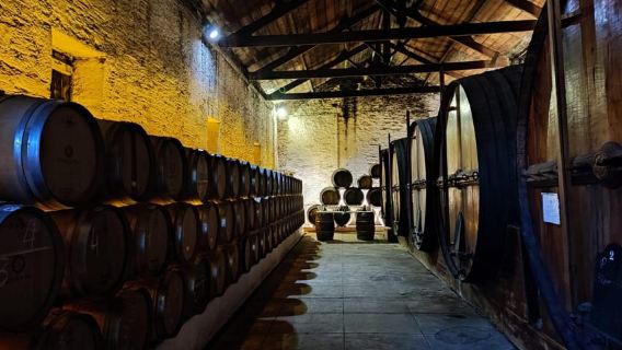 Douro Valley: (Pinhão) Quinta da Foz - Tour&Tasting 5 WINES