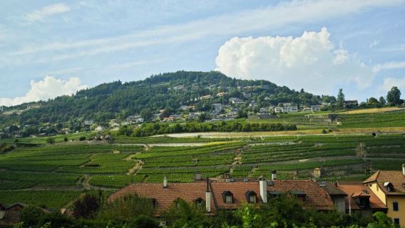 Switzerland Geneva Lake Region · Vevey + Teres Wain Lavaux - sewaan peribadi bahasa Cina - pilihan terbaik