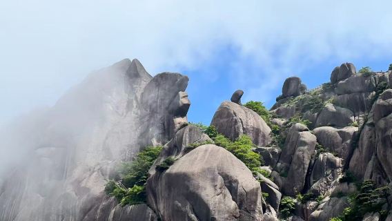 【含門票】單人丨黃山一日團體遊覽