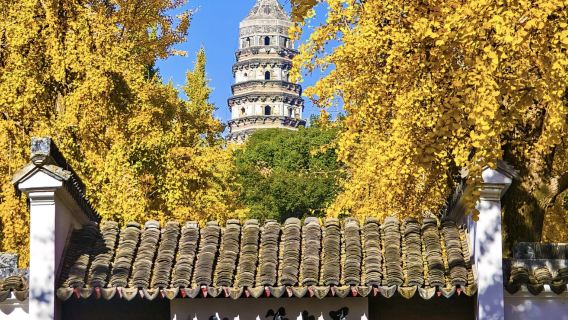 Shanghai departure: Tiger Hill(Huqiu) Scenic Area + Hanshan Temple + Shantang Street + Jinji Lake (private tourยทends in Suzhou)