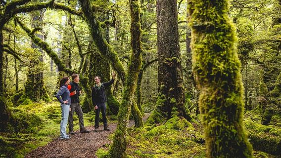 Walter PeakTours