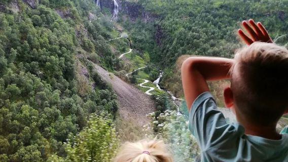 Norway·Sognefjord Transportation Package [Both Directions to Oslo & Bergen/Including Train + Cruise/Including Luggage Delivery Service]