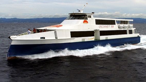 Быстрое оформление билетов на паром с Бохоля в Себу через официальную систему