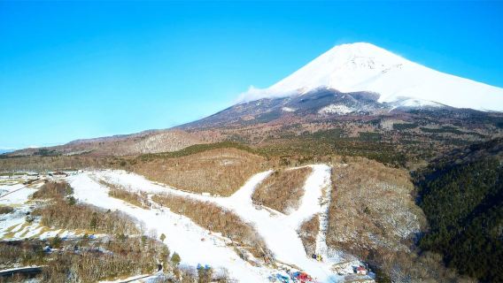 日本Yeti滑雪摘草莓溫泉共乘一日遊