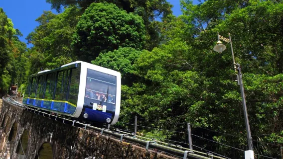 Penangin kukkula + Kek Lok Si -temppeli + Peranakan-museo + Clans Jetty + katutaideteosten katu - päiväretki