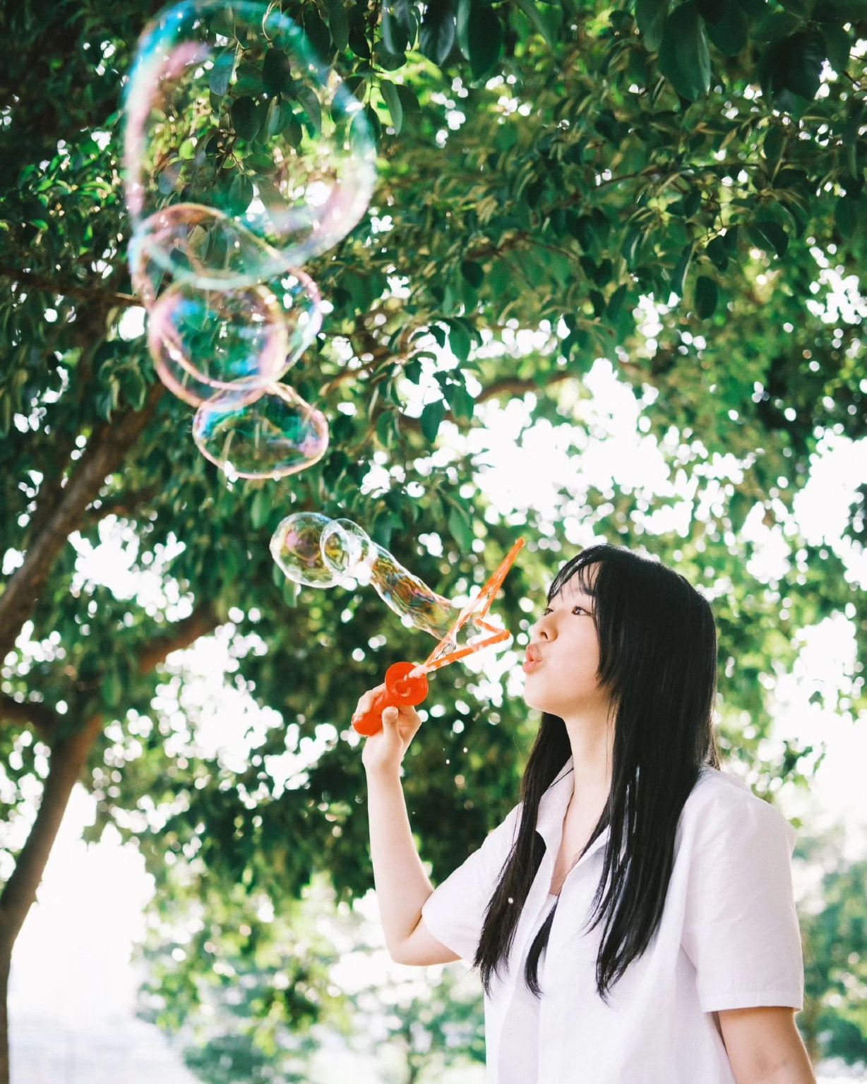 撫順Trip Moments【司機兼導遊兼Trip Moments攝影師+婚紗照空拍微電影+化妝服裝+行程定制+不限人數】