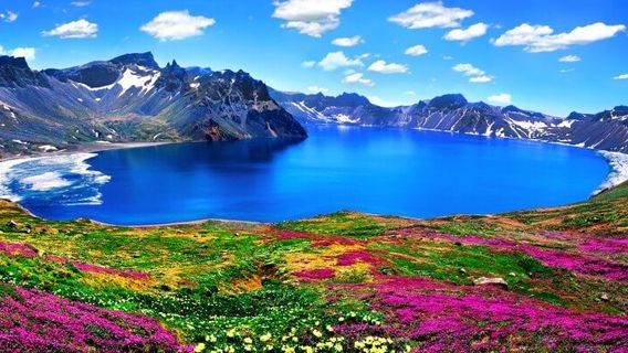 長春旅行服務
