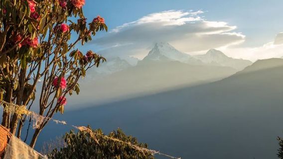 PokharaTravel Services