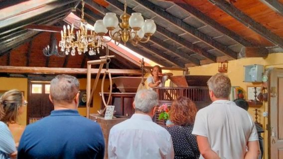 La Orotava: Guided Tour with Gofio Tasting