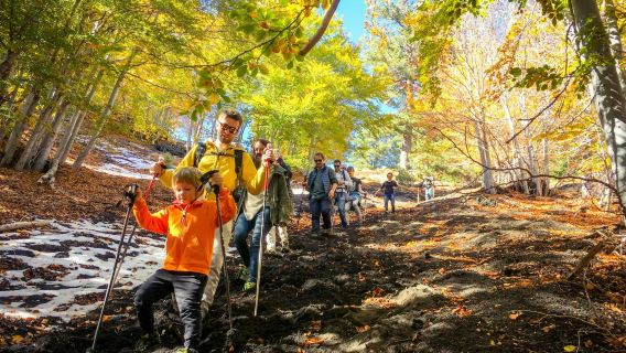 Etna Nord: Excursion to the Craters of the 2002 Eruption