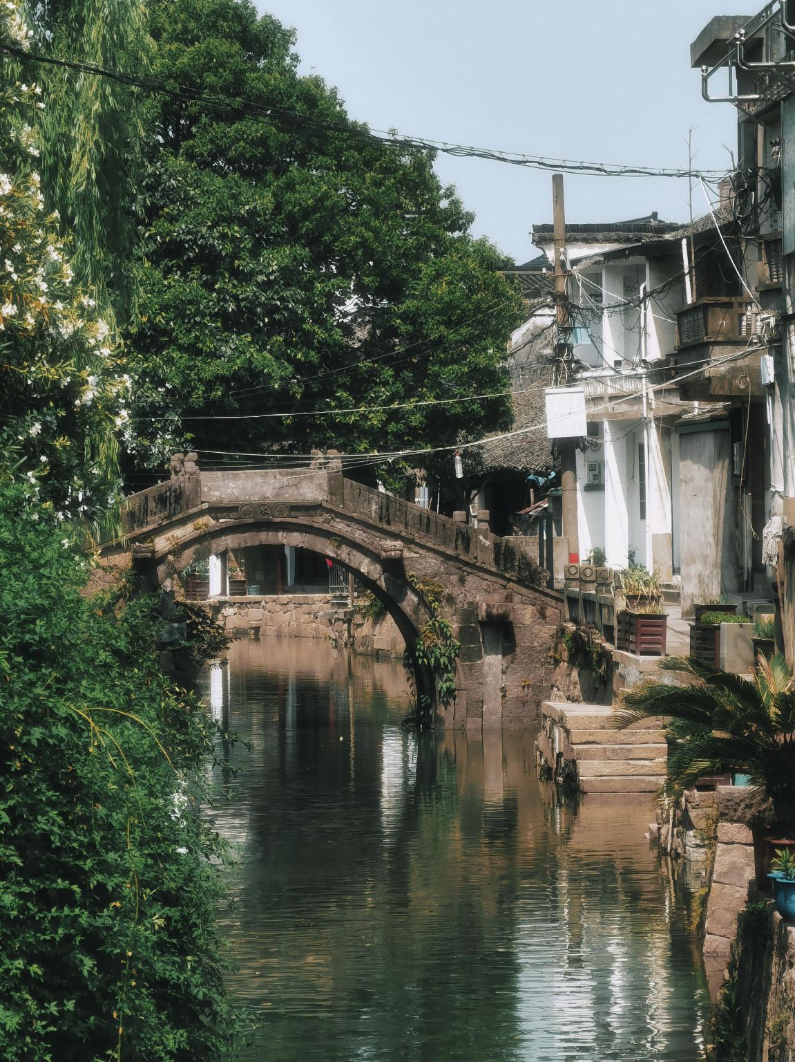 Huzhou - Digang Ancient Town, filming location of "Intangible Cultural Heritage China" | Private Charter | Multilingual Guide