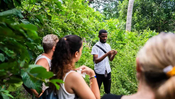Zanzibar: Prison Island, Tortoise, Jozani Forest Guided Tour