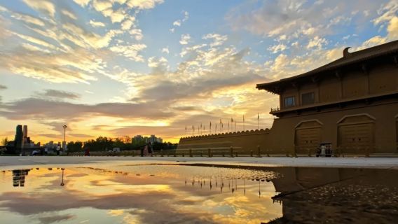 Private Guided Tour of the Daming Palace National Heritage Park in Xi'an