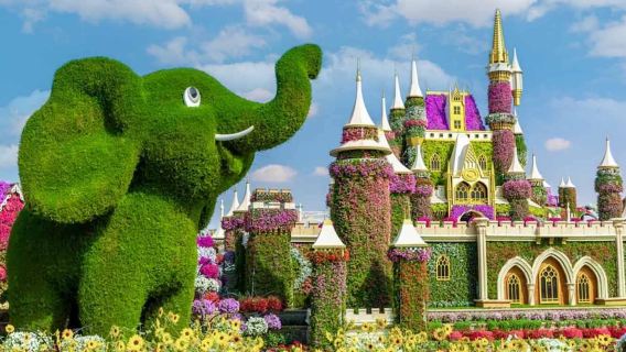 Dubai Miracle Garden tour & Marina Dhow Dinner Cruise with Private Roundtrip Transfer