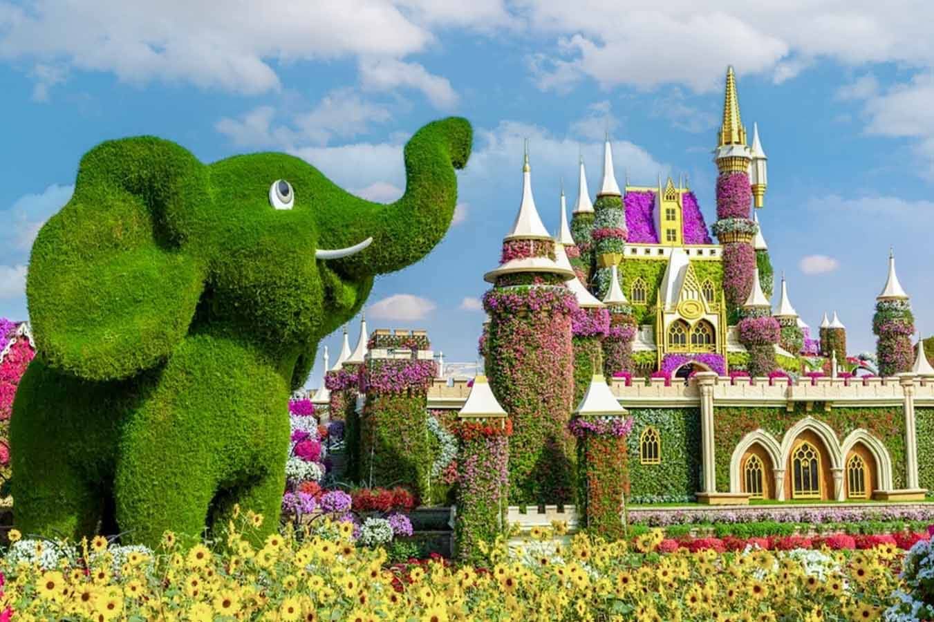 Dubai Miracle Garden tour & Marina Dhow Dinner Cruise with Private Roundtrip Transfer