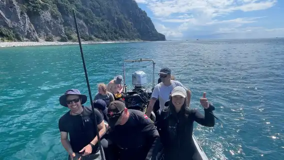 นิวซีแลนด์วาร์กเวิร์ธดำน้ำแบบสกูบาได้รับการรับรอง 9 ชั่วโมง [Hammerhead Experience Dive Charter]