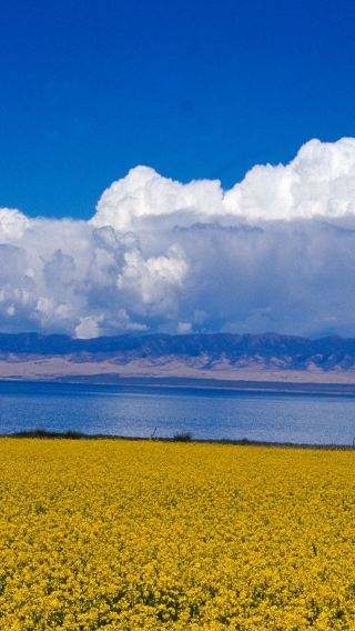 Xining Qinghai Lake, Chaka Salt Lake, Riyue Mountains (Sun and Moon Mountains) Chinese Group Day Tour (Visit the Mirror of the Sky)