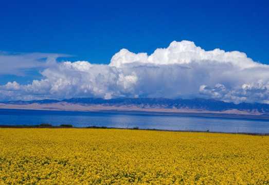 Xining Qinghai Lake, Chaka Salt Lake & Riyue Mountains Day Tour Guide