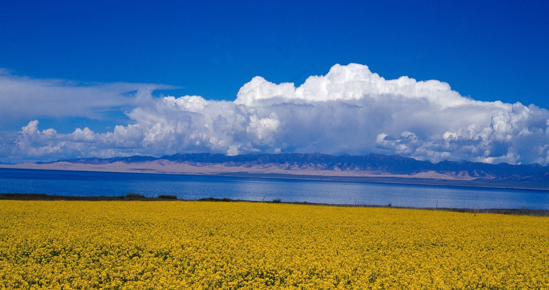 A one-day group tour to Xining, Qinghai Lake, Chaka Salt Lake, and Riyue Mountain (including a visit to the "Mirror of the Sky"), all in Chinese.