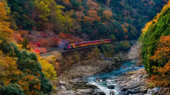 Kyoto Autumn Foliage Special: Minoh Falls, Sagano Romantic Train, Arashiyama Bamboo Forest, Nonomiya Shrine, Togetsukyo Bridge & Kinkakuji Temple One Day Tour (From Osaka)