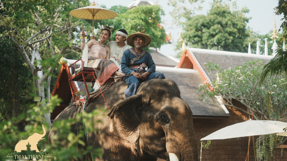 Balade à dos d'éléphant à Pattaya + Billet d'entrée pour le village culturel des éléphants Thaithani + Traversée du verger avec les éléphants + Boisson