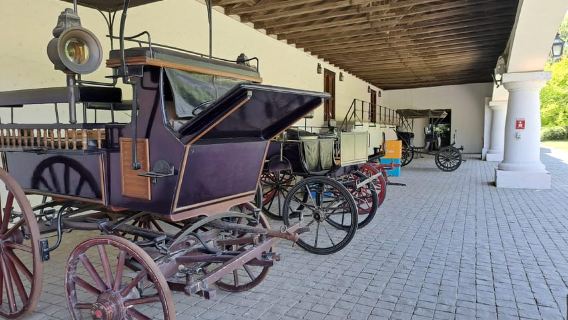 From Santiago: Isla Negra, Pablo Neruda Museum & Winery Tour