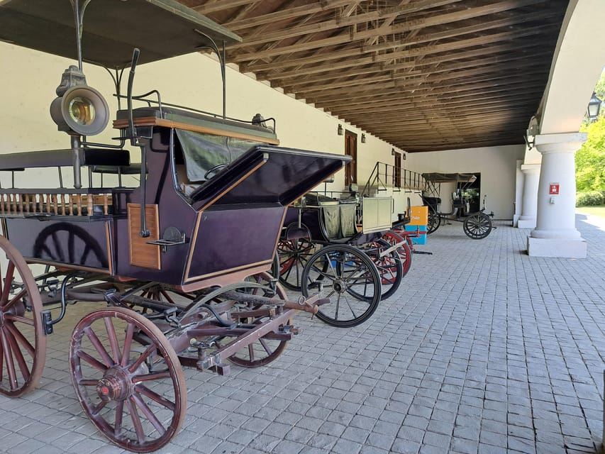 산티아고 출발: 이슬라 네그라, 파블로 네루다 박물관 & 와이너리 투어