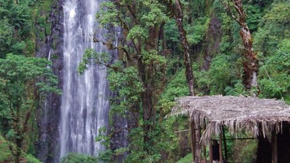 Arusha: Mount Meru Waterfall Day Trip with Lunch