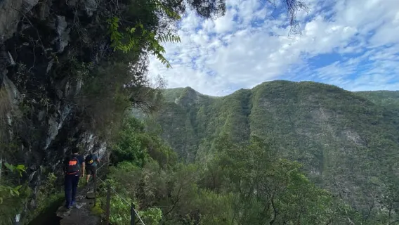 Madeira: PR 9 - Levada do Caldeirão Verde Hike Transfer