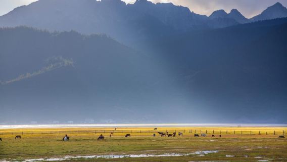Shangri-La: Tiger Leaping Gorge & Songzanlin Monastery Tour