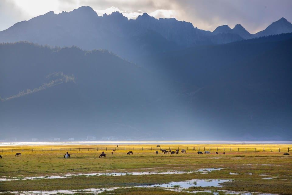 Shangri-La: tour della Gola del Salto della Tigre e del Monastero di Songzanlin