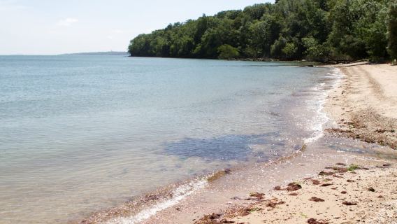 Isle of Wight: Osborne Admission Ticket