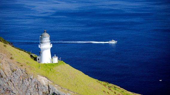 Paihia/Russell : croisière dans le Trou dans le Rocher et la Baie des Îles