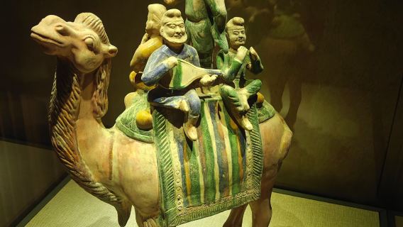 visita guidata+ biglietto d'ingresso+ cuffie gratuite (contattateci con cinque giorni di anticipo)