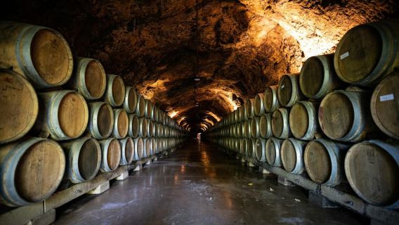 From Dijon: Burgundy Villages and Wine Tasting Tour