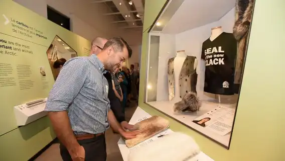 Ottawa: Canadian Museum of Nature Admission