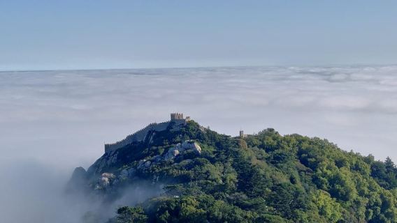 Lisbona: tour di mezza giornata a Sintra con il Palazzo Pena e Regaleira