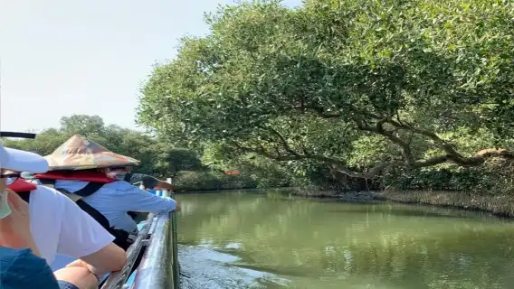 台南：四草綠隧道觀光船