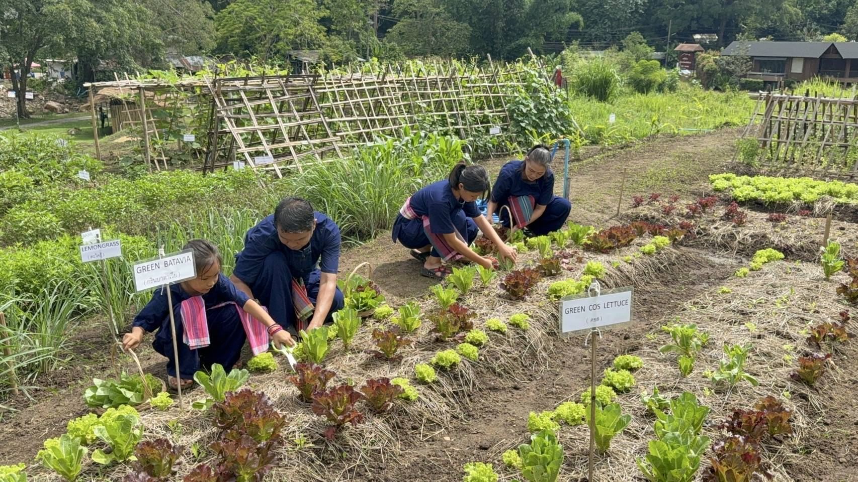 Mae-Sa Valley Farm Stay Resort - Organic Farm Immersion Programme Half/Full day Farm Life Discovery