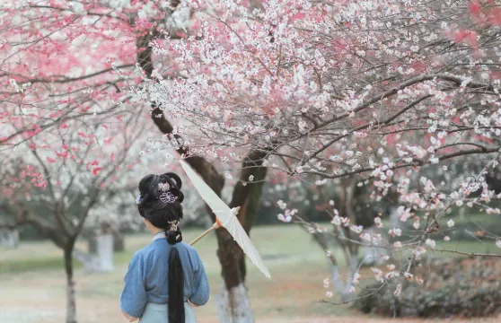 巢湖旅拍【約拍跟拍航拍隨行隨拍攝影攝像 +多語言翻譯本地攝影師】