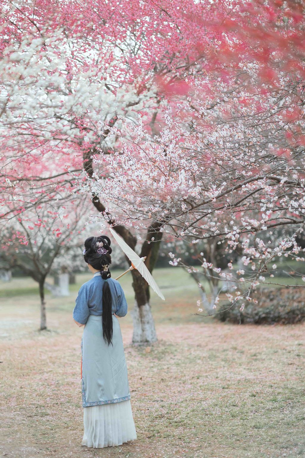 Chaohu Trip Moments[On-location photography and videography services including accompanying shoots, aerial photography, and walk-and-shoot sessions + multilingual translation with local photographer guides]