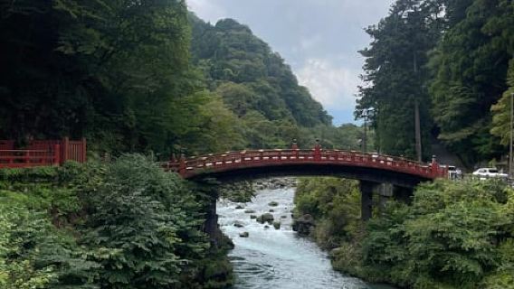 Nikko: Ticket für den Toshogu-Schrein